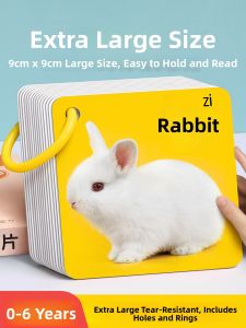 STARRY ARK | Educational Picture Recognition Cards for Children