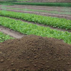 iGOOD-LIVING | Multipurpose Planting Soil 100kg