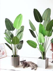 Decorative Indoor Large Artificial Bird of Paradise  Plant