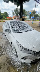 Cây lau bụi ô tô đa năng dùng vệ sinh nội thất