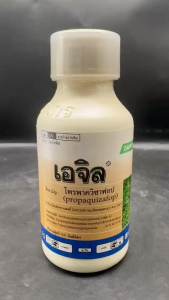 เอจิล โพรพาควิซาฟอบ 10% W/V EC ขนาด 500 ซีซี ฆ่าหญ้าใบแคบ ในพืชใบกว้าง ปลอดภัย ใช้ใน ผักชี คะน้า มะเขือเทศ มันสำปะหลัง ดาวเรือง พริก ถั่วต่างๆ