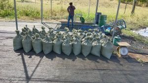 แกลบดำ เพาะพันธุ์ไม้ ช่วยดินร่วนซุย