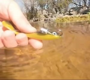 Combo 2-4/cái mồi cá giả mắt 3D mềm mẫu mới siêu nhạy cá 10cm-6g (màu ngẫu nhiên)