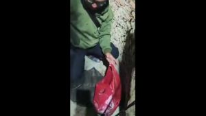 AMW Essen Pancing Hybrid Super Premium V2 Atsiri Base