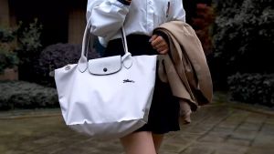 Longchamp bag original Le Pliage long handle M and L Tote bag Shopping Bag water proof foldable