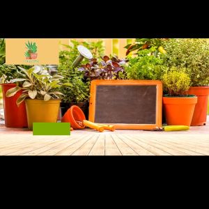 Seedlings Nutrient Block Compression Compress Peat Blocks Magic Soil Garden Planting Seedling