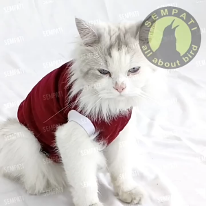 SEMPATI GROSIR Baju Kucing Katun Combed 30s Isi 10 Pcs Baju Kaos Singlet T Shirt Kostum Hewan Peliharaan Kucing Anjing Cat Dog Kitten Adult Anabul Puppy Kelinci Monyet