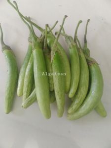 Terong Telunjuk Sayur Terong Segar 250 Gram