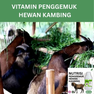Vitamin Penggemuk Kambing Alami 250ml Nafsu Makan Naik Bobot Cepat Bertambah Maksimalkan Penggemukan