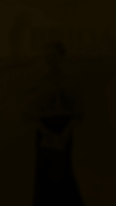 Set Maria clara inspired Filipiniana top - Balona with satin skirt