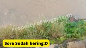 ISI ULANG PEMBASMI RUMPUT 1 LITER | Cairan Pembasmi Rumput & Gulma AMPUH