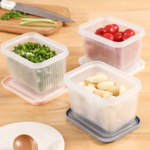 Winsome กล่องเหลี่ยม "เล็ก" มีช่องระบายน้ำ  สองชั้นกล่องเก็บของสด Double drain box