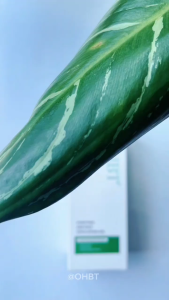 Gel Tẩy Tế Bào Chết Da Mặt OHBT Purifying & Face Exfoliating Gel 250ML