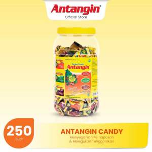 PERMEN ANTANGIN TOPLES ISI(250pcs)