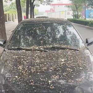 Thickened disposable car cover transparent car cover universal rainproof snow proof dustproof cover invisible car cover
