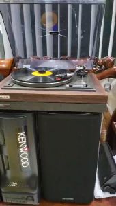 MÂM THAN CHUYÊN NGHIỆP PIONEER PL-M25