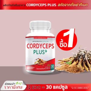 ส่งฟรี พร้อมส่ง 400มก ถั่งเช่าแท้ทิเบตผสมโสม สกัดเข้มข้น สมุด 1 กระปุก ซื้อ 1