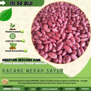 benih kacang merah/kacang jogo/kacang loreng sayur ( 50 butir)
