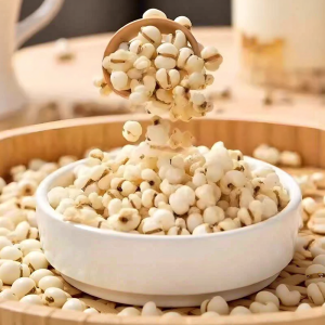 WENXIANGZAN | Fresh Dampness-reducing Coix Seed Coarse Grain