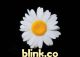 blink.co_shop