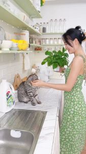 Nước Rửa Chén Sunlight An Toàn Cho Chén Dĩa Trẻ Em