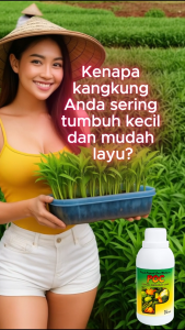 POC Kangkung / Pupuk Penyubur Sayuran Kangkung / Pupuk Kangkung Darat Super / Pupuk Kangkung Air