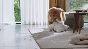 Tai nghe cao cấp Motorola razr DAC 24bit chân cắm type C thương hiệu nhật bản Denon có mic tăng giảm âm lượng Tai Nghe Dùng Cho Điện Thoại Type C Tai Nghe Bảo Hành 6 Tháng - Lazada