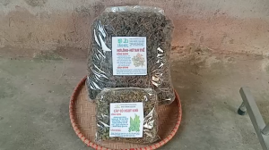 1kg cây mơ lông tía sấy khô TẶNG 100G CỎ NGỌT