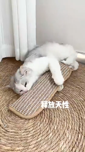 Catnip Pillow For Cat Heavy-Duty Cat Toy 100% Catnip Chewable Teeth Scratching Pillow & Scratching Pad