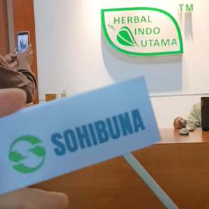 HERBAL INDO UTAMA Daun Salam Obat Herbal Asam Urat Kolesterol Darah Tinggi Gratis ongkir