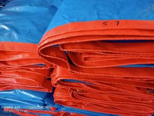 Terpal 5x7 5x8 meter Murah Tebal Type A12 Plastik Korea 3 tahun Tutup Truk Pickup Tenda Alas Jemuran