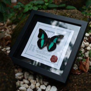 Elegant European Style Butterfly Decorative Figurine Office Desk Decoration Gift for Men Valentines Day Living Room Decor