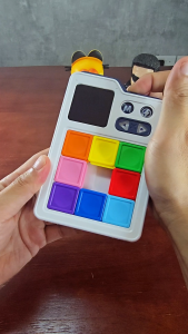 OSSDE Slide Block Puzzle Brain (1803) Puzzle Game Toy More Than 1000 Levels Super Slide Brain Teaser