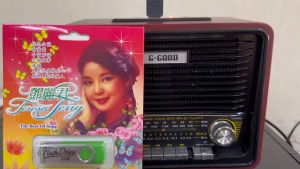 เพลงจีน USB-MP.3 ชุดเติงเป็นจุดแสดงในวงการจีน #เพลงจีน #เสียงดี #เสียงไพเราะ #Flash Drive-MP.3 # Thumb Drive-MP.3