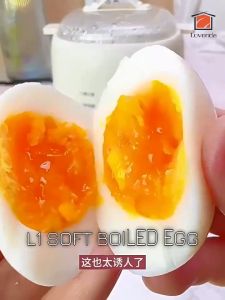 KONKA Malaysia Plug Egg Boiler Half Boiled Egg Maker Telur Separuh Masak Maker 煮蛋器 Egg Timer蒸蛋器 Breakfast Machine 早餐机 Automatic Electric