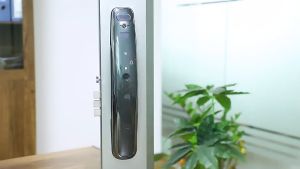 TUYA Smartlock Fingerprint Door Lock with Intercom Facial recognition and Doorbell feature