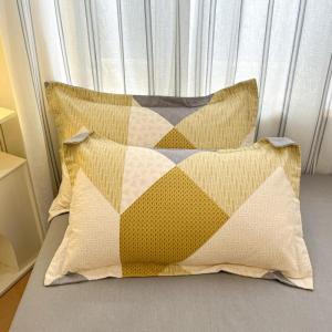 Thick Flannel Pillowcase Pair for Home Use Single Person