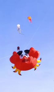 Crab kites pendant flying show kites windsocks Inflatable kites Trilobites kites Octopus nylon ripstop 7m Dog Kites factory pipa