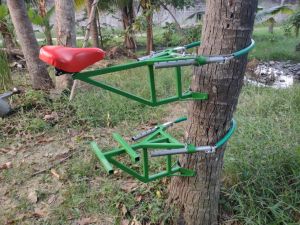 ราคาพิเศษ จักรยานปีนต้นมะพร้าว