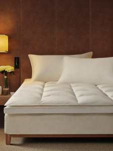 KANGERXIN | Warm Goose Down Filling Cushion