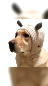 Pet warm caps dog grooming earmuffs hats and ear windproof headgear hooded caps
