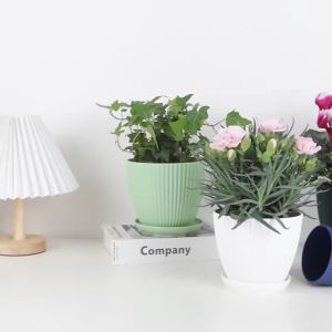[Merlimau Nursery] Designer Concept Flower Pot / Pasu Bunga Plastic / Pasu Hiasan