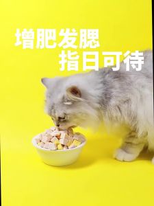 PETSEE Freeze Dried Chicken Cube for Cat Booster Gemuk Kucing Makanan Kucing Chicken Cube 500g Dried Chicken for Cat 冻干