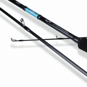 Daiwa | Cần Câu Mực