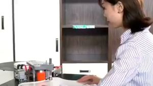 Ready✅ Portable Edge Banding Desktop Machine Woodworking Small Edge Curve Bander Mesin Project Kits Tepi Kerja Kayu