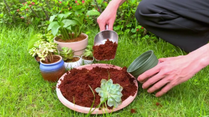 1.5KG Organic Coco Peat Brick Professional Grade Horticultural Coco Coir Bricks Compressed Coconut Coir Fiber Nutrition Soil For Planting / Herbs