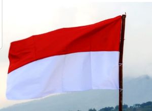 BENDERA MERAH PUTIH/AGUSTUS/bandir/umbul2