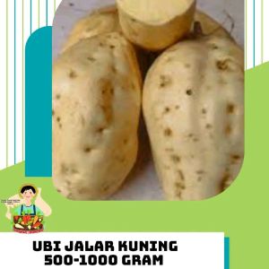 UBI JALAR KUNING 500-1000 GRAM