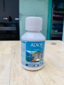 Insektisida ADIOS 110 SC dari Graha Agritech Prima