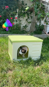 "Local Stock" Pet House Waterproof Cat Cave Dog House Cat bed Waterproof Pet House Cat Cave Cat Kennel Cat House Cat bed
